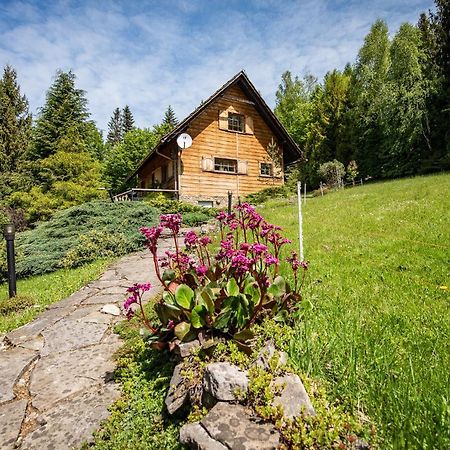Chata Jarzebata Wisła Exterior foto