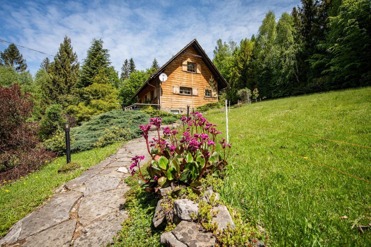 Chata Jarzebata Wisła Exterior foto