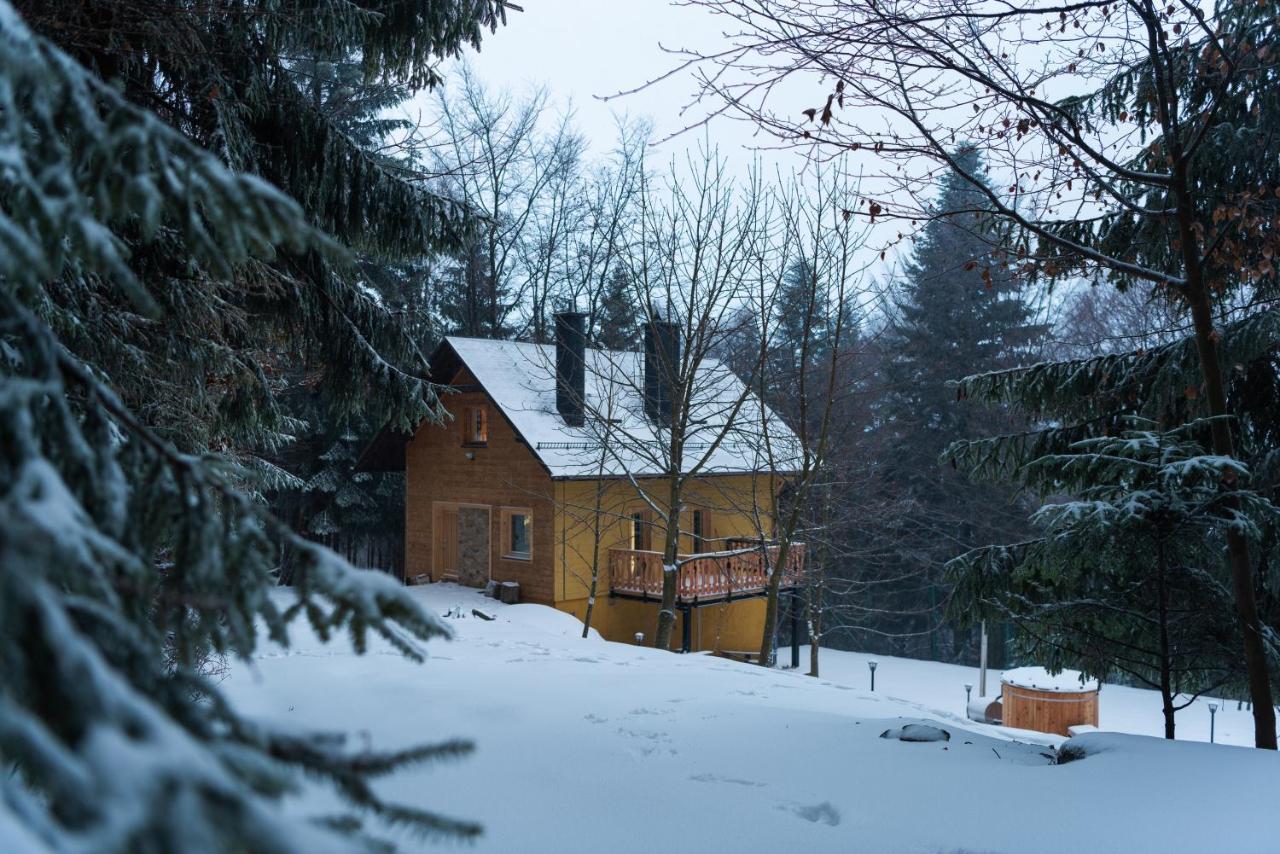 Chata Jarzebata Wisła Exterior foto