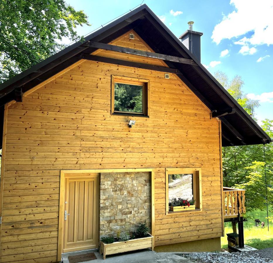 Chata Jarzebata Wisła Exterior foto